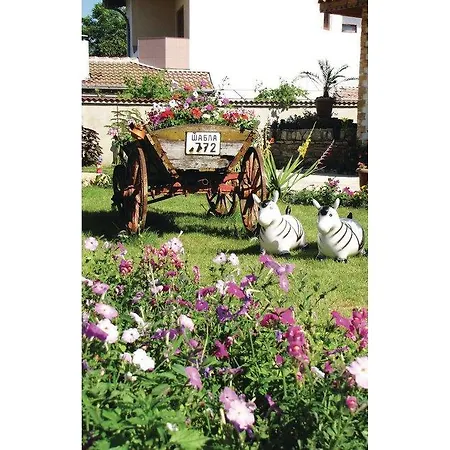 Διαμέρισμα Village Of Krapets Parva St. Ii Krapets (Dobrich)